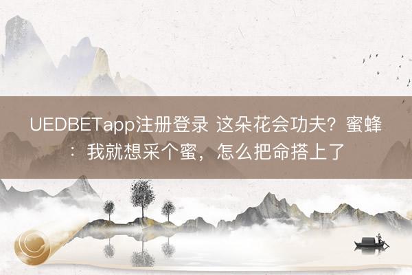 UEDBETapp注册登录 这朵花会功夫？蜜蜂：我就想采个蜜，怎么把命搭上了