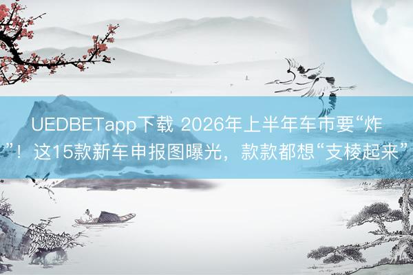 UEDBETapp下载 2026年上半年车市要“炸”！这15款新车申报图曝光，款款都想“支棱起来”