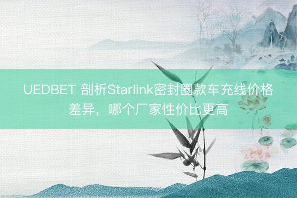 UEDBET 剖析Starlink密封圈款车充线价格差异,哪个厂家性价比更高