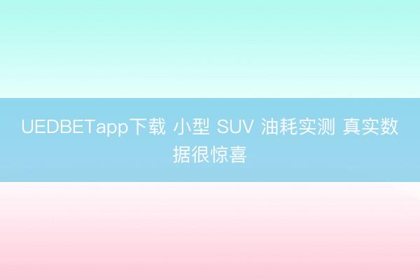 UEDBETapp下载 小型 SUV 油耗实测 真实数据很惊喜