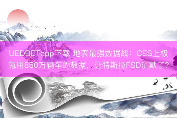 UEDBETapp下载 地表最强数据战:CES上极氪用850万辆车的数据,让特斯拉FSD沉默了?