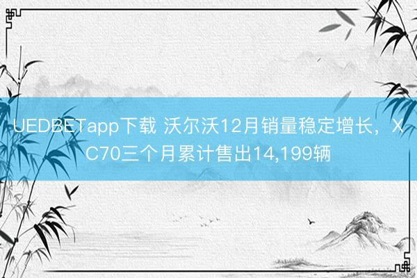 UEDBETapp下载 沃尔沃12月销量稳定增长,XC70三个月累计售出14,199辆