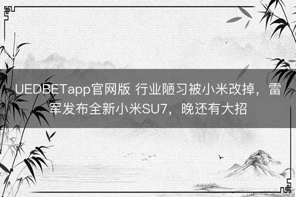 UEDBETapp官网版 行业陋习被小米改掉,雷军发布全新小米SU7,晚还有大招