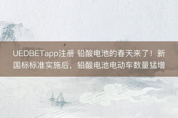 UEDBETapp注册 铅酸电池的春天来了!新国标标准实施后,铅酸电池电动车数量猛增