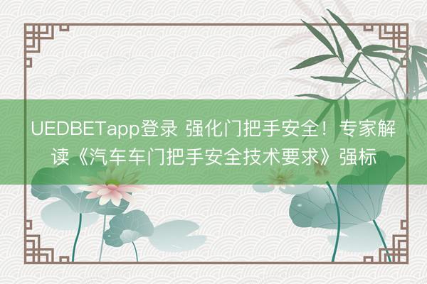 UEDBETapp登录 强化门把手安全！专家解读《汽车车门把手安全技术要求》强标