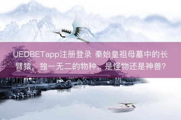 UEDBETapp注册登录 秦始皇祖母墓中的长臂猿,独一无二的物种,是怪物还是神兽?