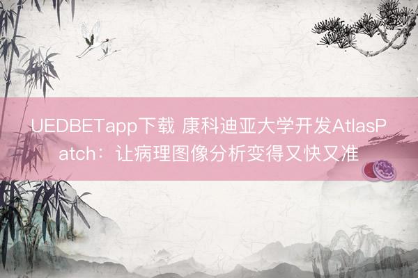 UEDBETapp下载 康科迪亚大学开发AtlasPatch:让病理图像分析变得又快又准