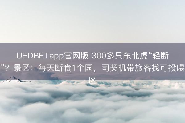 UEDBETapp官网版 300多只东北虎“轻断食”?景区:每天断食1个园,司契机带旅客找可投喂区