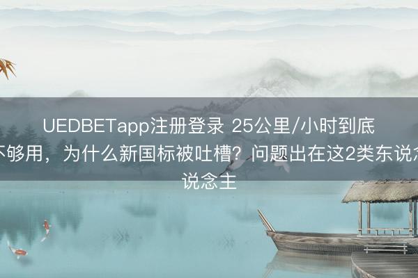 UEDBETapp注册登录 25公里/小时到底够不够用,为什么新国标被吐槽?问题出在这2类东说念主