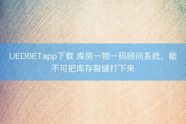 UEDBETapp下载 库房一物一码顾问系统,能不可把库存裂缝打下来