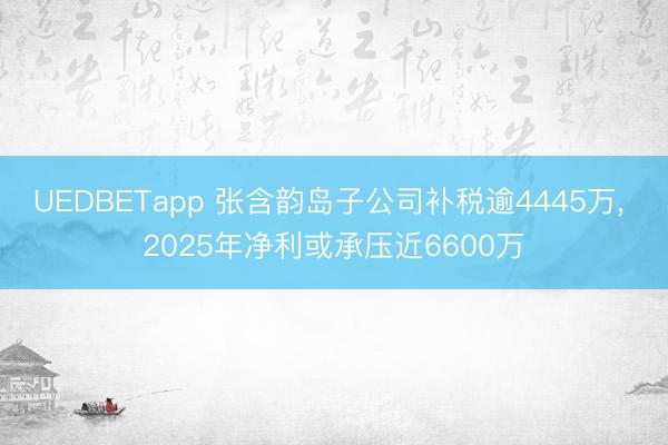 UEDBETapp 张含韵岛子公司补税逾4445万， 2025年净利或承压近6600万