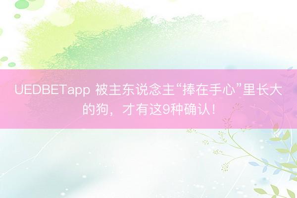 UEDBETapp 被主东说念主“捧在手心”里长大的狗,才有这9种确认!
