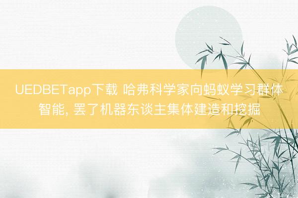 UEDBETapp下载 哈弗科学家向蚂蚁学习群体智能， 罢了机器东谈主集体建造和挖掘