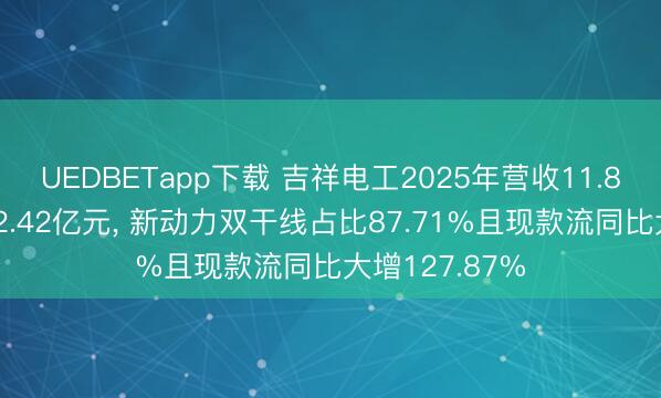 UEDBETapp下载 吉祥电工2025年营收11.89亿元、净利2.42亿元， 新动力双干线占比87.71%且现款流同比大增127.87%
