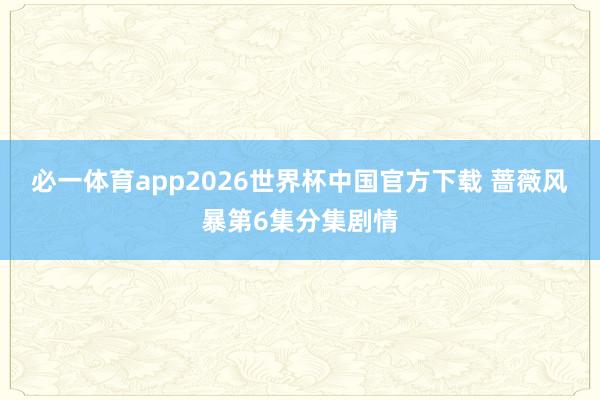 必一体育app2026世界杯中国官方下载 蔷薇风暴第6集分集剧情