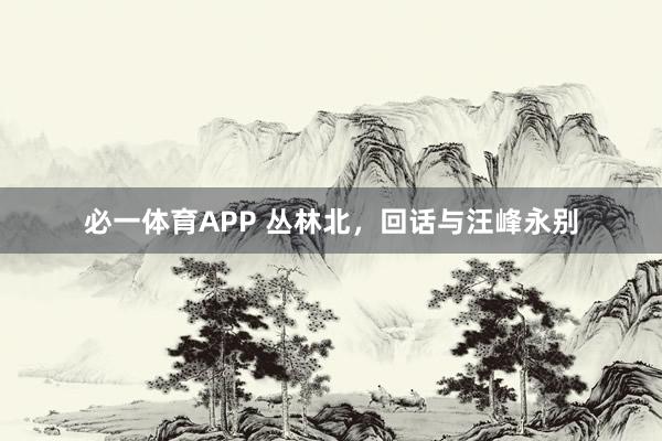 必一体育APP 丛林北,回话与汪峰永别