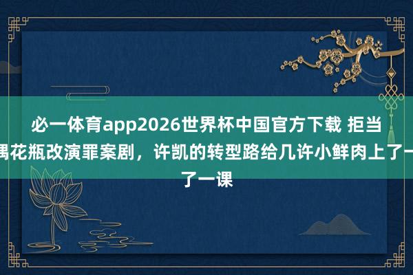 必一体育app2026世界杯中国官方下载 拒当古偶花瓶改演罪案剧，许凯的转型路给几许小鲜肉上了一课