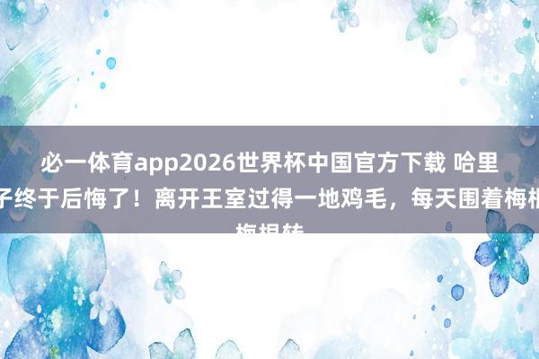 必一体育app2026世界杯中国官方下载 哈里王子终于后悔了！离开王室过得一地鸡毛，每天围着梅根转