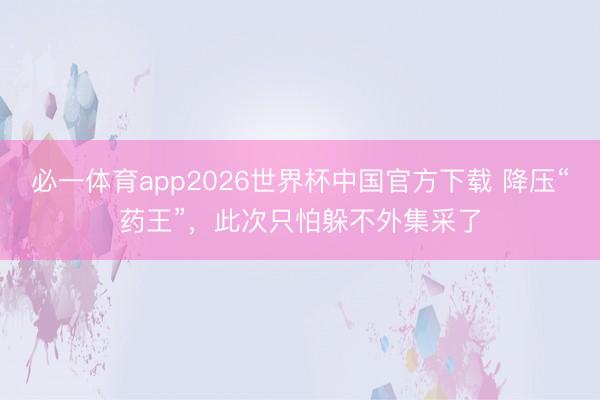 必一体育app2026世界杯中国官方下载 降压“药王”，此次只怕躲不外集采了