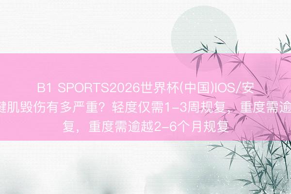 B1 SPORTS2026世界杯(中国)IOS/安卓官方下载 半腱肌毁伤有多严重?轻度仅需1-3周规复,重度需逾越2-6个月规复
