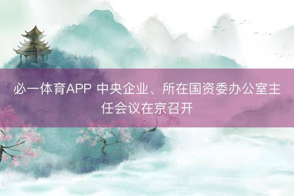 必一体育APP 中央企业、所在国资委办公室主任会议在京召开