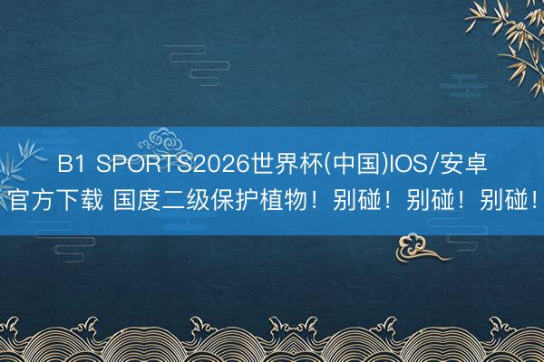 B1 SPORTS2026世界杯(中国)IOS/安卓官方下载 国度二级保护植物！别碰！别碰！别碰！