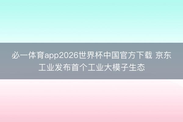 必一体育app2026世界杯中国官方下载 京东工业发布首个工业大模子生态
