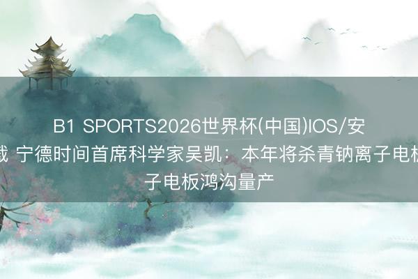 B1 SPORTS2026世界杯(中国)IOS/安卓官方下载 宁德时间首席科学家吴凯：本年将杀青钠离子电板鸿沟量产
