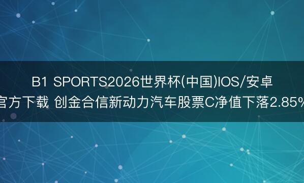 B1 SPORTS2026世界杯(中国)IOS/安卓官方下载 创金合信新动力汽车股票C净值下落2.85%