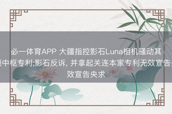 必一体育APP 大疆指控影石Luna相机骚动其多项中枢专利;影石反诉, 并拿起关连本家专利无效宣告央求