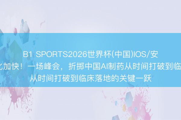 B1 SPORTS2026世界杯(中国)IOS/安卓官方下载 产业化加快!一场峰会,折掷中国AI制药从时间打破到临床落地的关键一跃