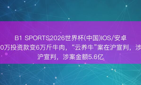 B1 SPORTS2026世界杯(中国)IOS/安卓官方下载 300万投资款变6万斤牛肉,“云养牛”案在沪宣判,涉案金额5.6亿