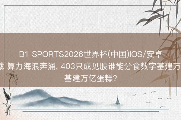 B1 SPORTS2026世界杯(中国)IOS/安卓官方下载 算力海浪奔涌， 403只成见股谁能分食数字基建万亿蛋糕?